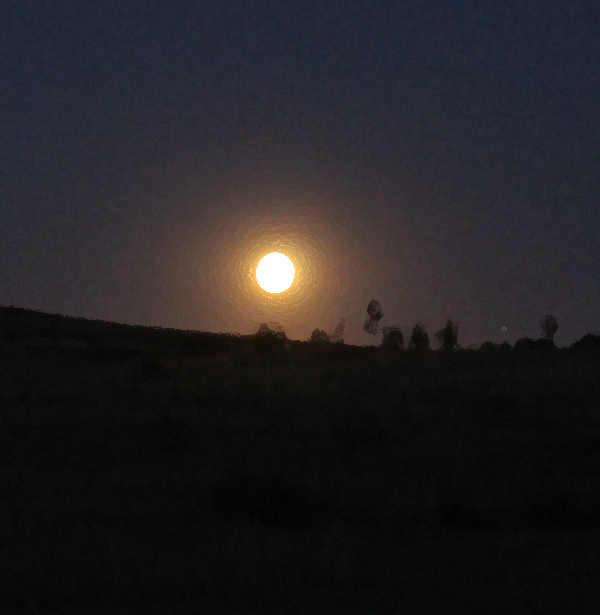 photo of moonrise